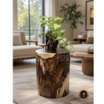 Rosewood Trunk Side Table