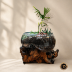 Molten Glass Planter Pot on Driftwood