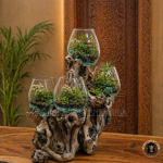 Molten Glass Planter Pot on Driftwood